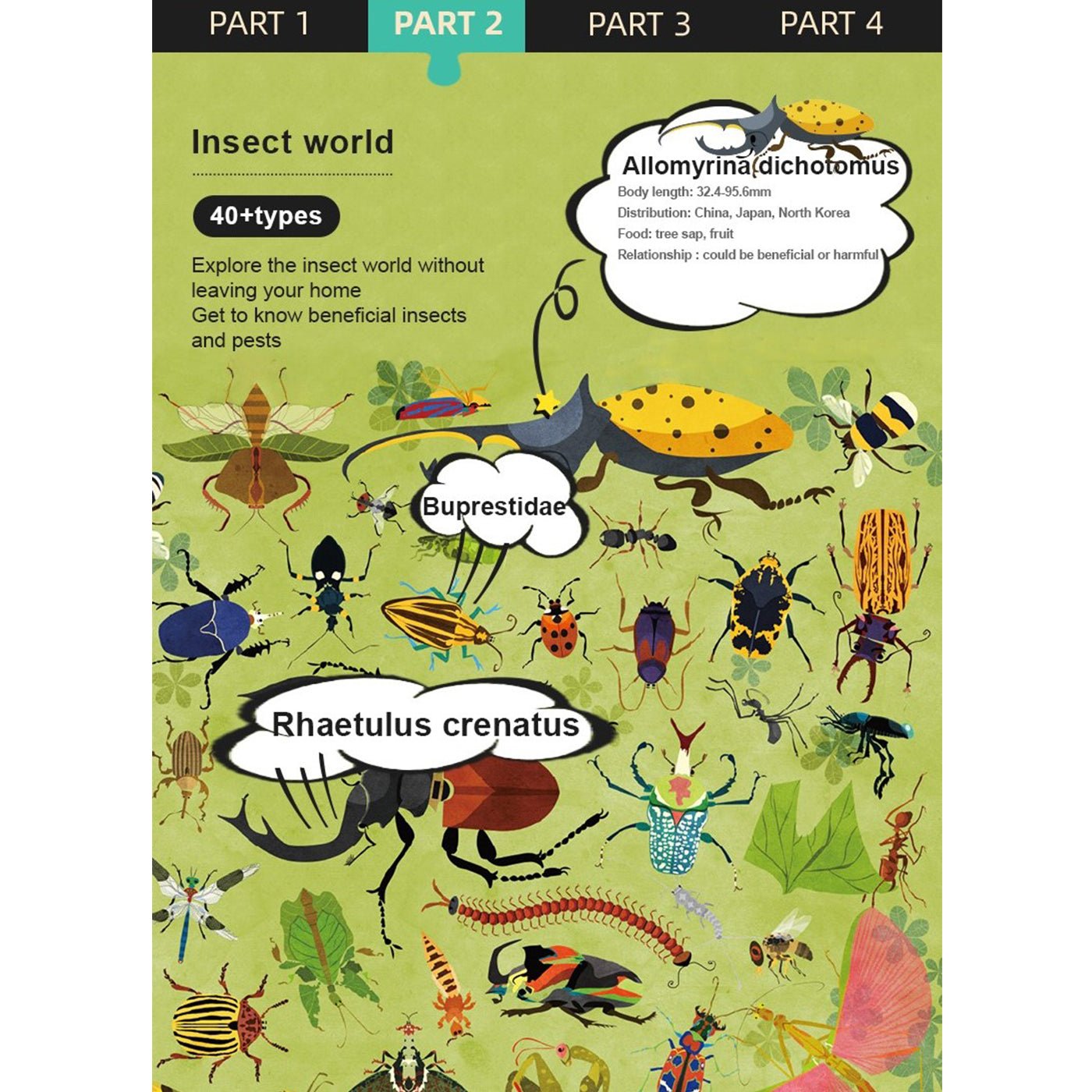Insect World 126pcs