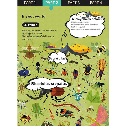 Insect World 126pcs